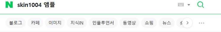 Screenshot of Naver's categories under the search bar.
